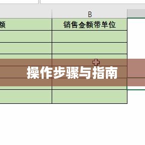 Excel万元格式如何显示？详细步骤与操作指南