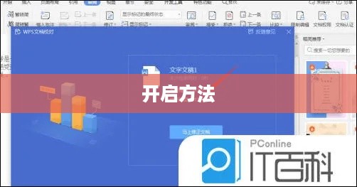 如何开启WPS的错字校对功能