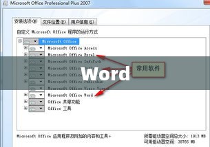 Word、Excel、PPT三大软件的功能与区别