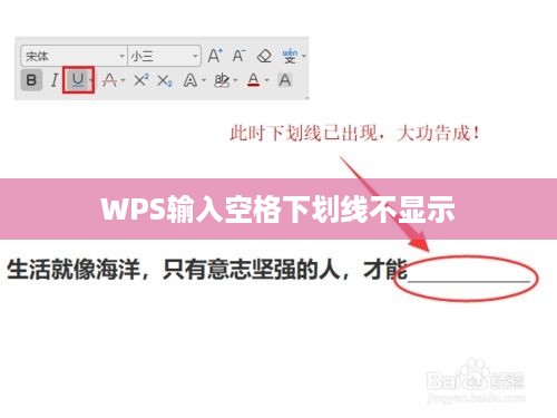 WPS输入空格后下划线不显示怎么办？解决方法与常见问题解析