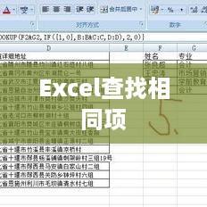 Excel查找相同项的实用技巧与策略  第1张