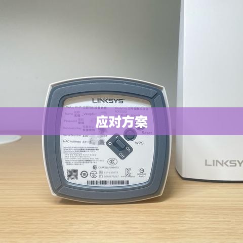 WPS限制编辑密码忘记应对方案