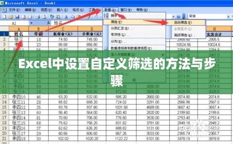 Excel中设置自定义筛选的方法与步骤