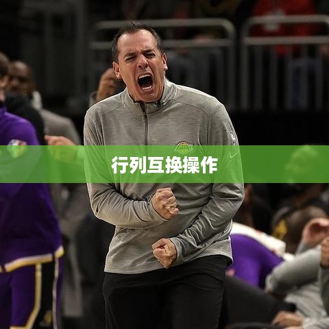 Excel表格行列互换操作指南  第1张