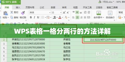 WPS表格一格分两行的方法详解