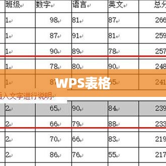 如何将WPS表格中的换行符替换掉