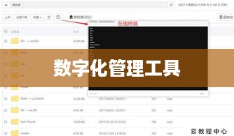 宝塔面板，互联网时代的数字化管理工具利器  第1张