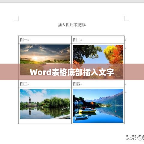 Word表格底部插入文字的详细步骤指南