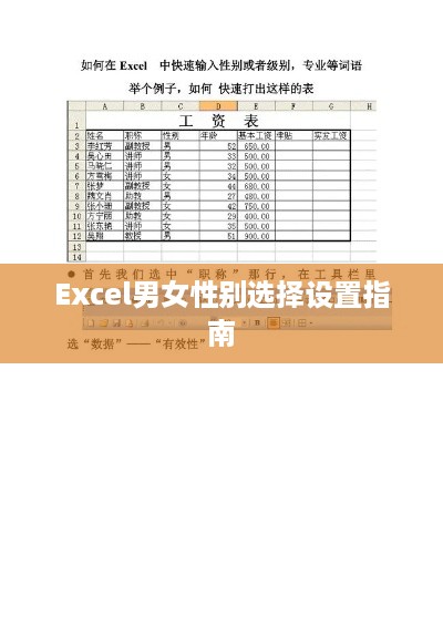Excel男女性别选择设置指南