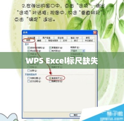 WPS中的Excel没有标尺怎么办？解决方法与常见问题解析