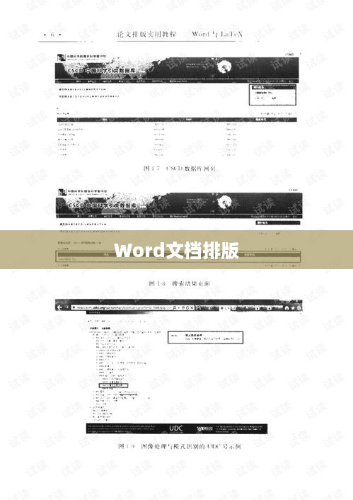 Word文档怎么排版—从基础到进阶的全面指南  第1张