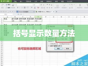 Excel筛选后括号显示数量的方法详解