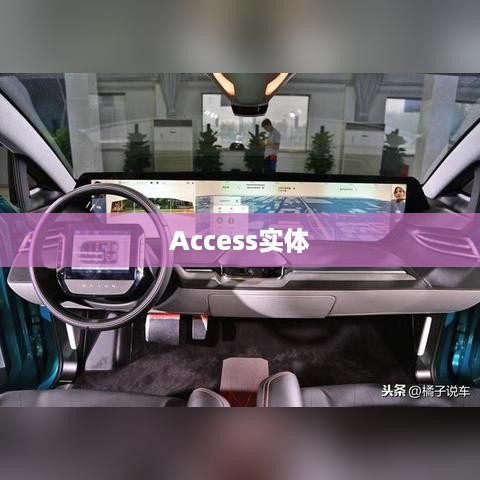 在Access中表示实体的概念及其作用  第1张