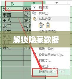 Excel如何显示隐藏列，一步步解锁隐藏数据  第1张