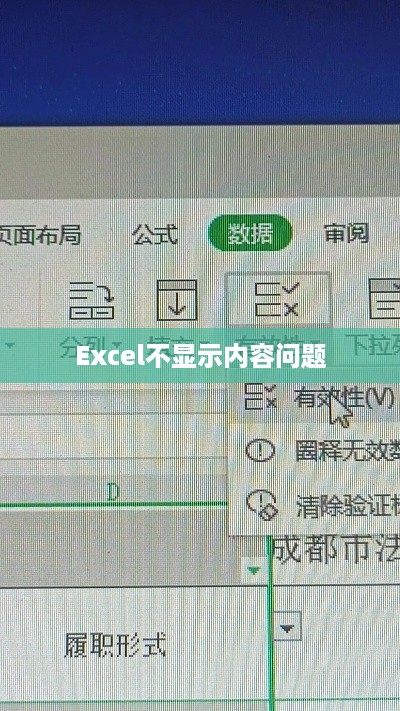 解决Excel打开后不显示内容的问题