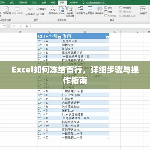 Excel如何冻结首行，详细步骤与操作指南