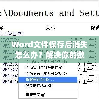 Word文件保存后消失怎么办？解决你的数据恢复难题