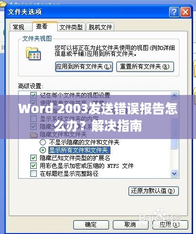 Word 2003发送错误报告怎么办？解决指南