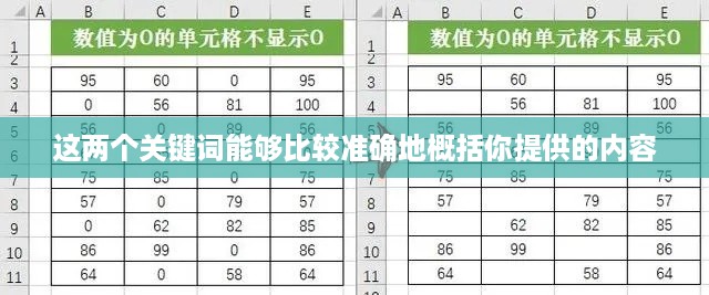 解决Excel中数字0不显示的问题  第1张