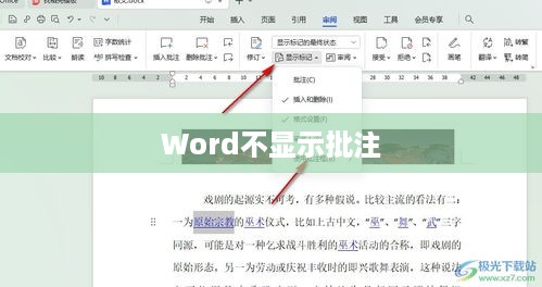 解决Word不显示批注的问题，全面指南