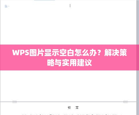 WPS图片显示空白怎么办？解决策略与实用建议  第1张