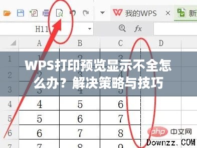 WPS打印预览显示不全怎么办？解决策略与技巧