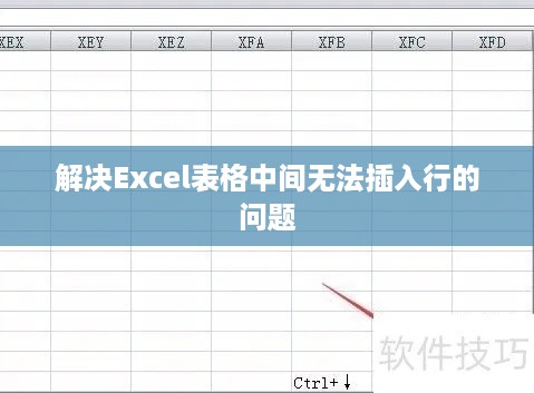 解决Excel表格中间无法插入行的问题  第1张