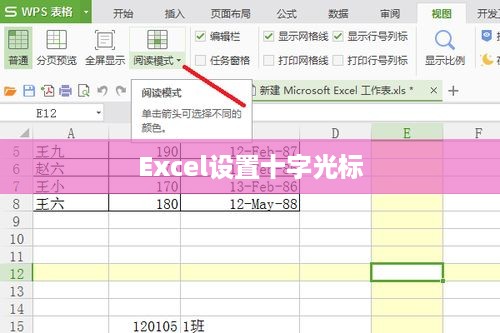 Excel中如何设置十字光标—详细指南