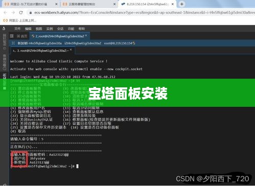 Linux服务器安装宝塔面板，经验分享与避坑指南