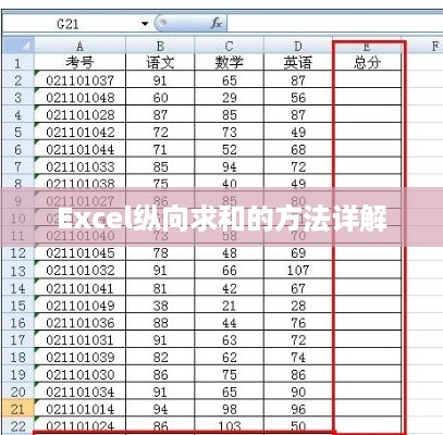 Excel纵向求和的方法详解