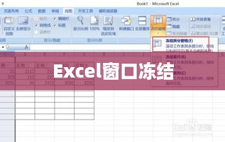 Excel工作簿窗口冻结的形式及其应用