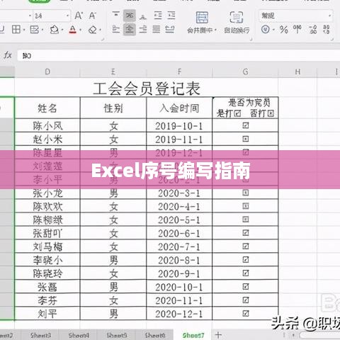 Excel序号编写指南