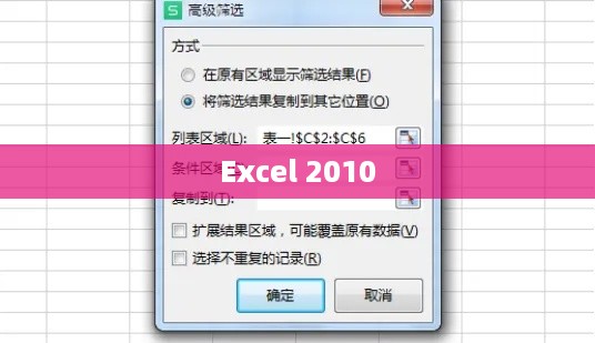 Excel 2010自动筛选功能的使用指南