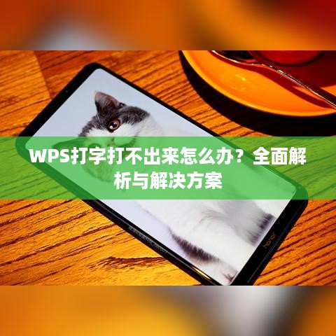 WPS打字打不出来怎么办？全面解析与解决方案  第1张