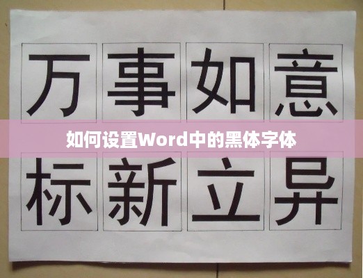 如何设置Word中的黑体字体