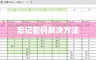 如何撤销保护Excel工作表—面对忘记密码的解决方法