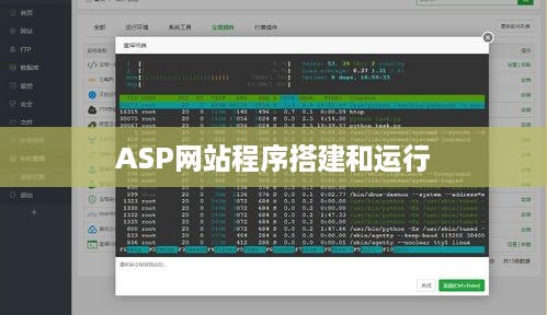 宝塔Linux面板能否搭建和运行ASP网站程序？解析与指南