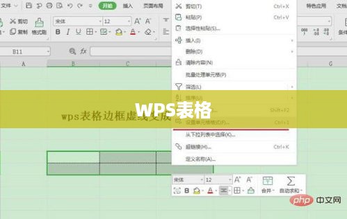WPS表格虚线变实线的操作指南