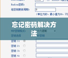 宝塔面板忘记密码怎么办？解决方法大解析！