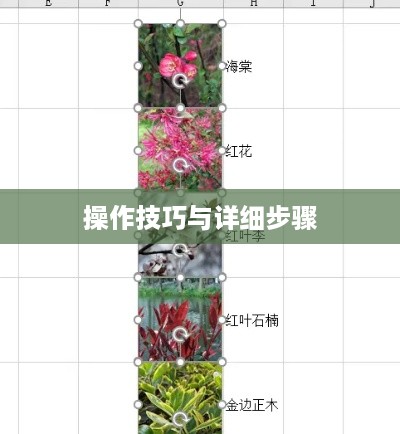 Excel如何全选整个工作表，详细步骤与操作技巧  第1张