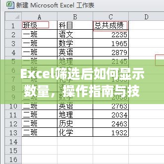Excel筛选后如何显示数量，操作指南与技巧解析  第1张