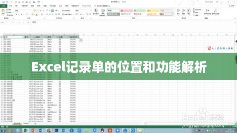 Excel记录单的位置和功能解析