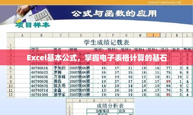 Excel基本公式，掌握电子表格计算的基石  第1张