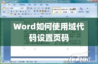 Word如何使用域代码设置页码