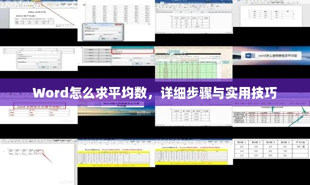 Word怎么求平均数，详细步骤与实用技巧