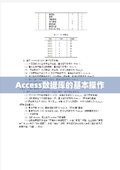 Access数据库的基本操作
