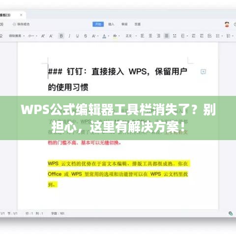 WPS公式编辑器工具栏消失了？别担心，这里有解决方案！