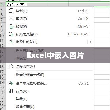 如何在Excel中嵌入图片到表格中  第1张