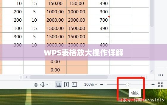 WPS表格放大操作详解
