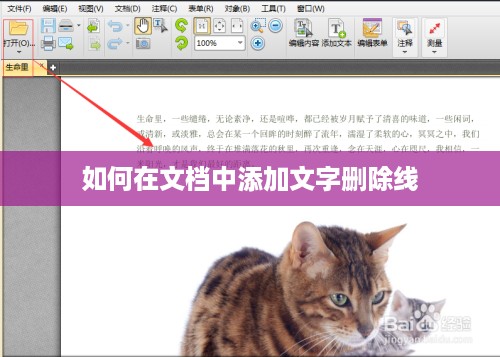 如何在文档中添加文字删除线
